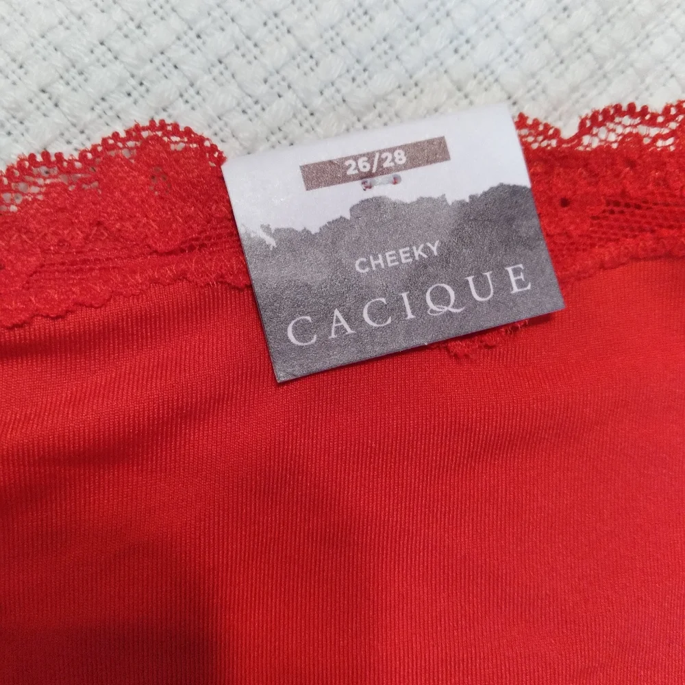 Lot of Lane Bryant cheeky panties